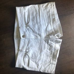 Loft Summer Shorts